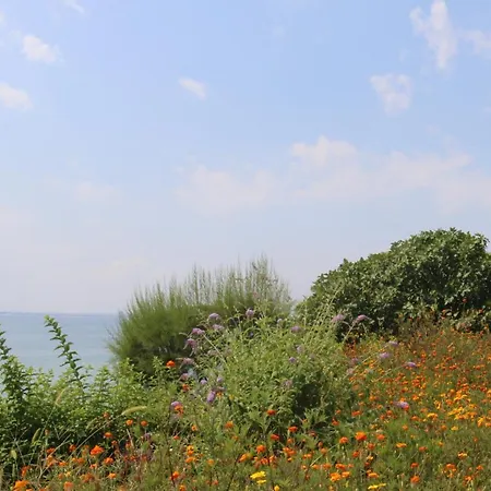 Fort Noxs, Sea Together אלניטה